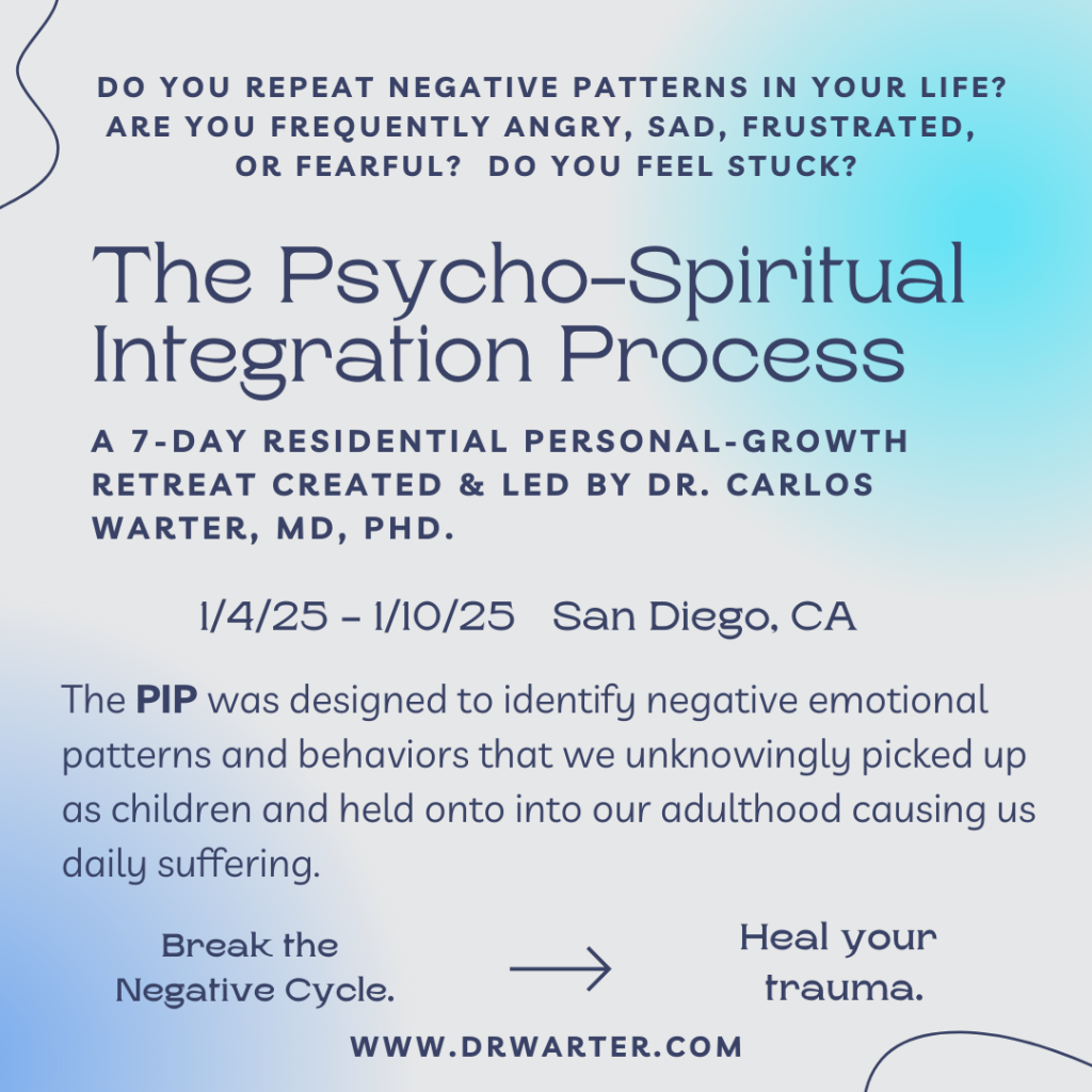 The Psycho-Spiritual Integration Process (PIP)